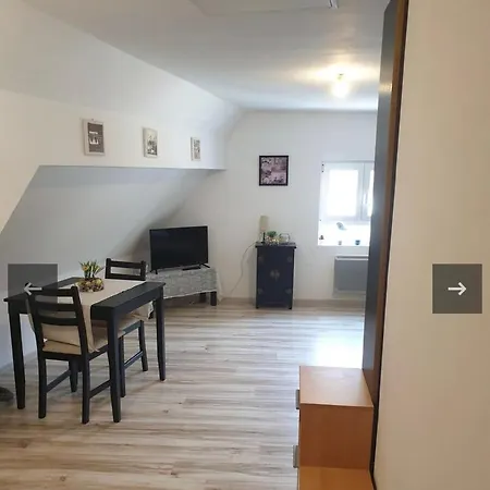 Studio Chez Willi Апартаменты *