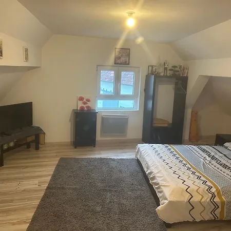 Studio Chez Willi Апартаменты Niederschaeffolsheim